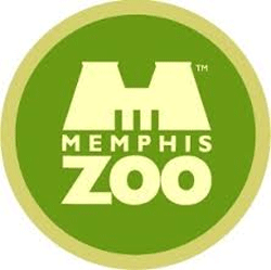 Memphis summer camps
